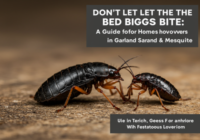 Bed Bugs in Garland & Mesquite: Sleep Soundly Again!